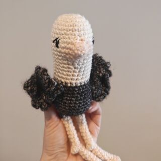 Ostrich